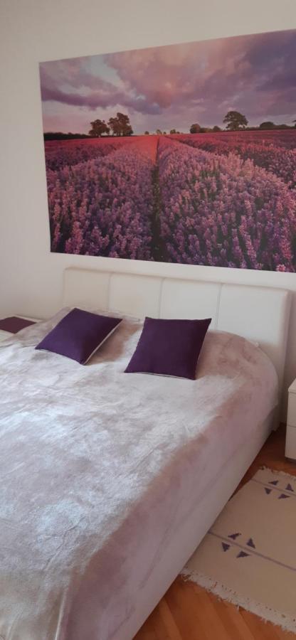 Apartmani Amira Trebin Dış mekan fotoğraf